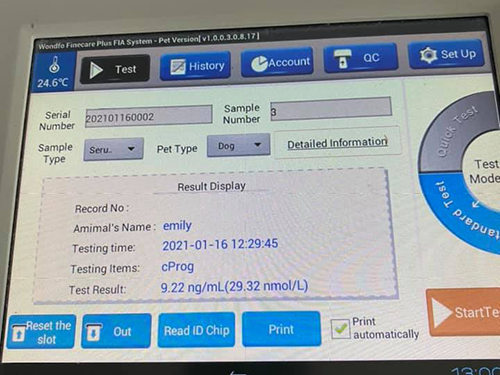 Progesterone Testing