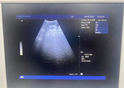 Mobile Ultrasound Scan Preston