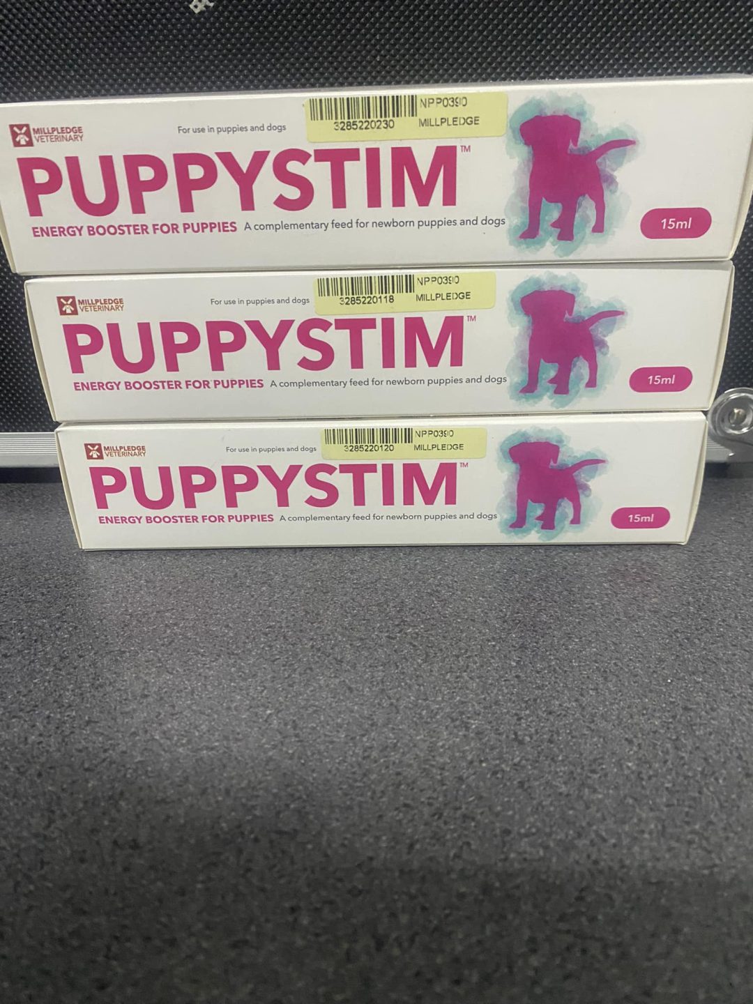 Puppy stim Preston