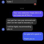 Dog Fertility Preston