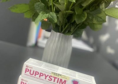 Puppy Stim Lancaster
