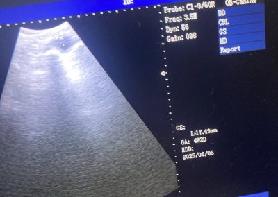 Mobile Canine Ultrasound Blackburn