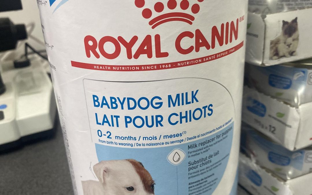 Puppy Milk Delivery Preston