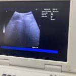 Mobile Microchipping Chorley