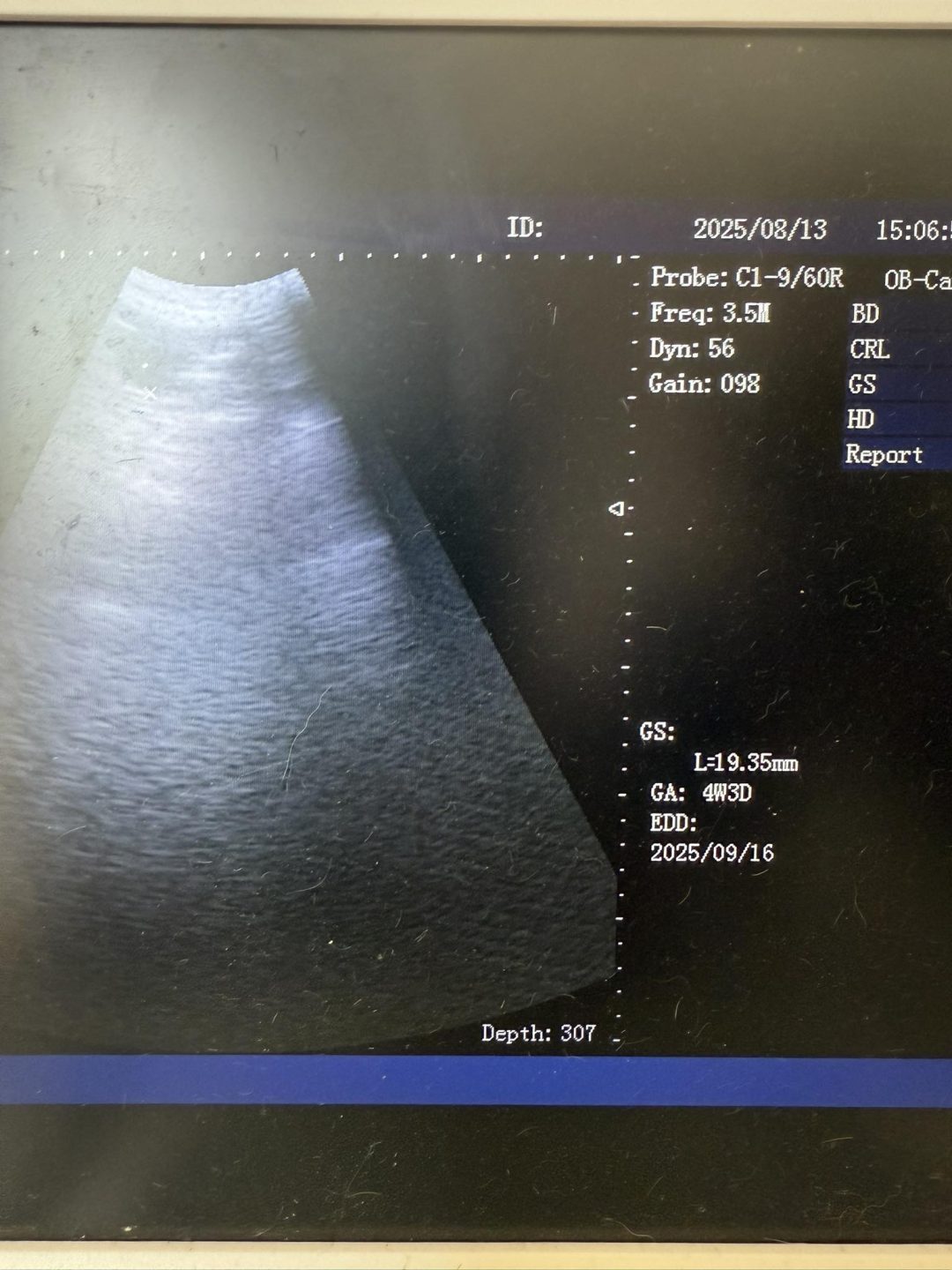 Mobile Dog Scans Preston