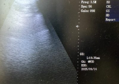 Mobile Dog Scans Preston