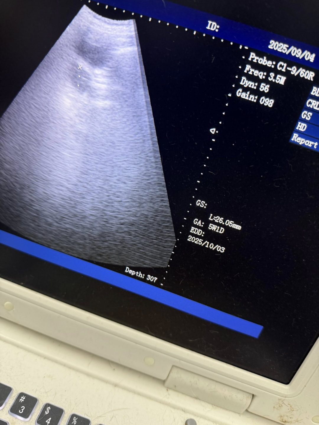 Dog Confirmation Scan Preston