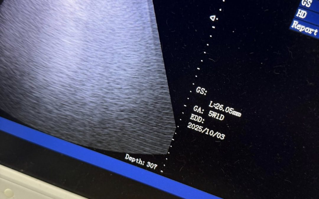 Dog Confirmation Scan Preston