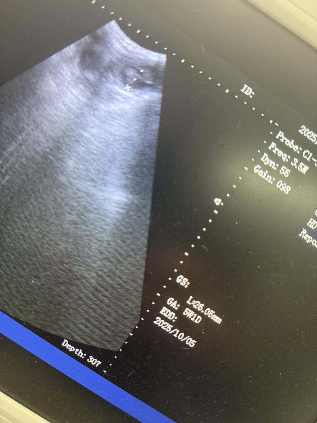 Dog Confirmation Scan Kirkham