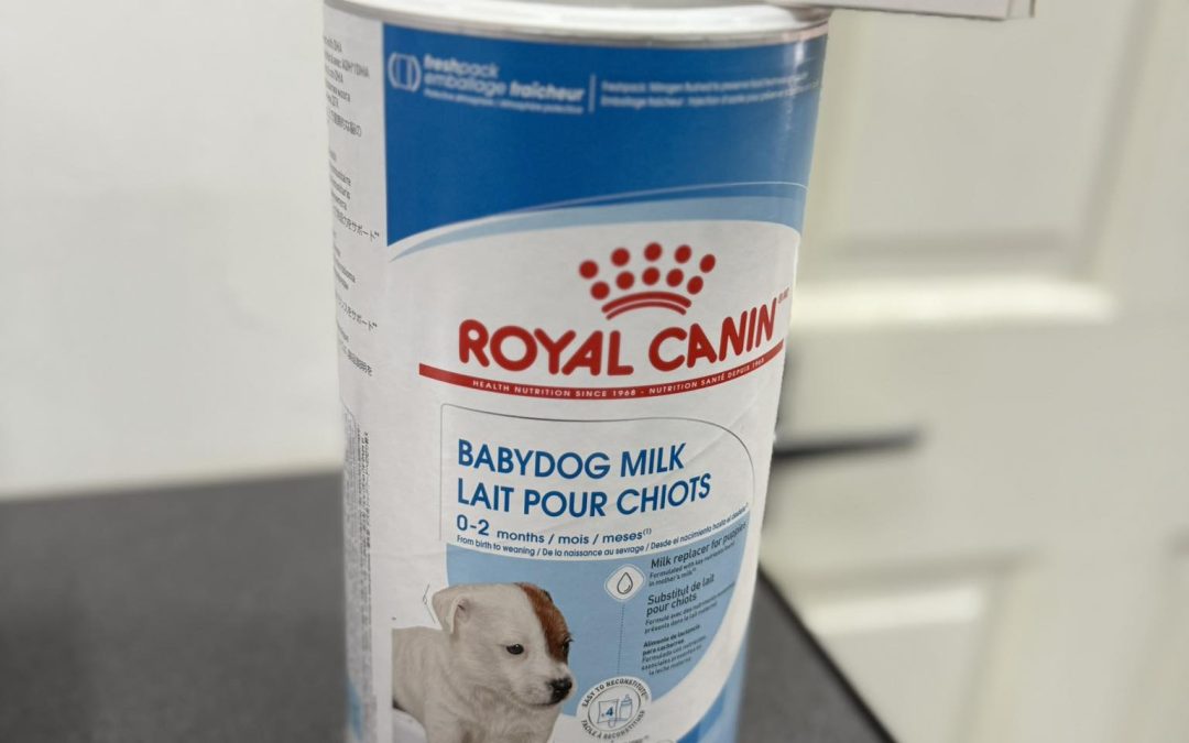 Puppy Milk Lancaster