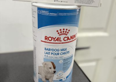 Puppy Milk Lancaster