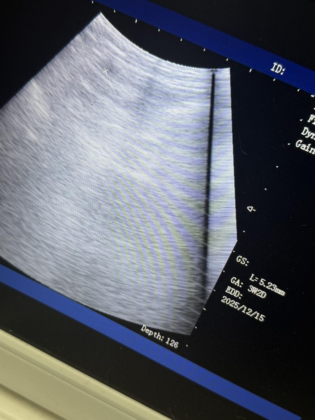 Dog Fertility Garstang