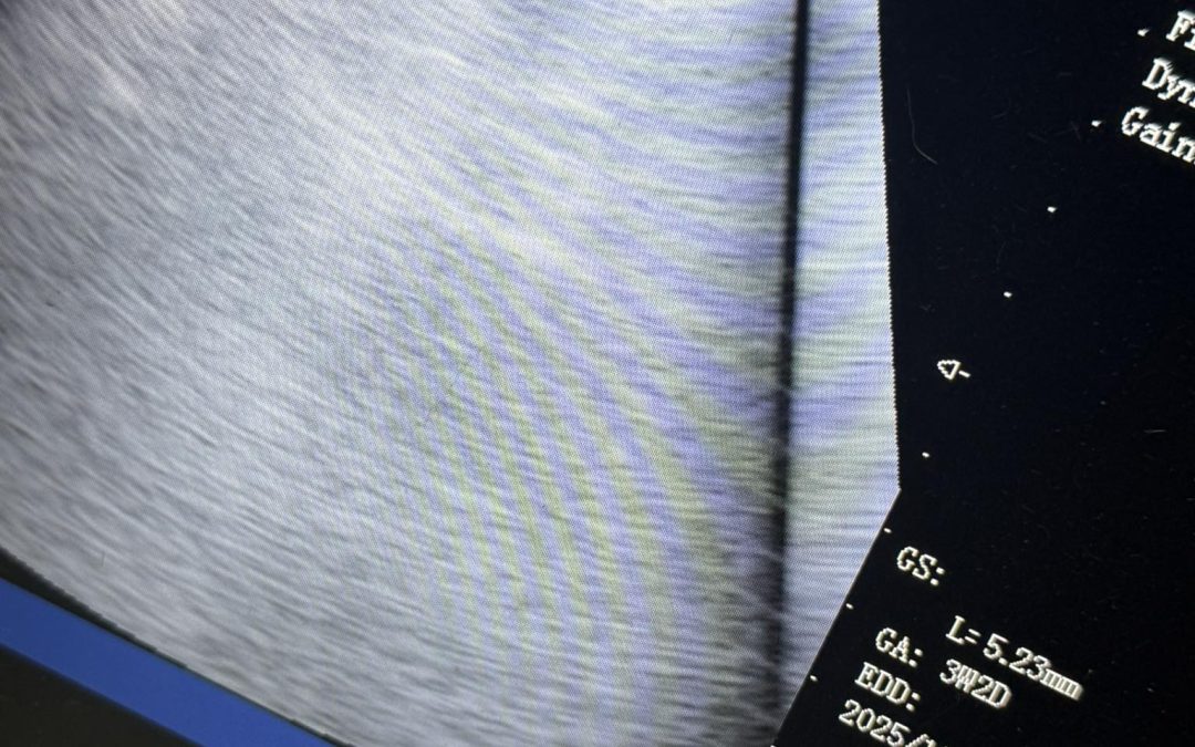 Dog Fertility Garstang