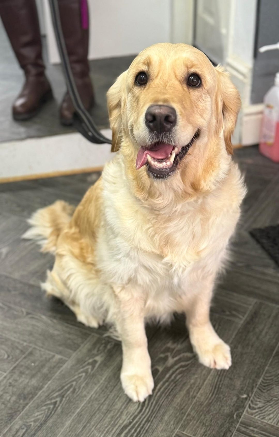 Progesterone Blood Test Blackburn