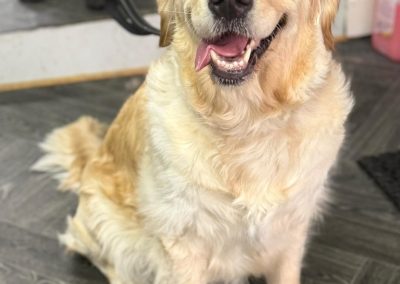 Progesterone Blood Test Blackburn