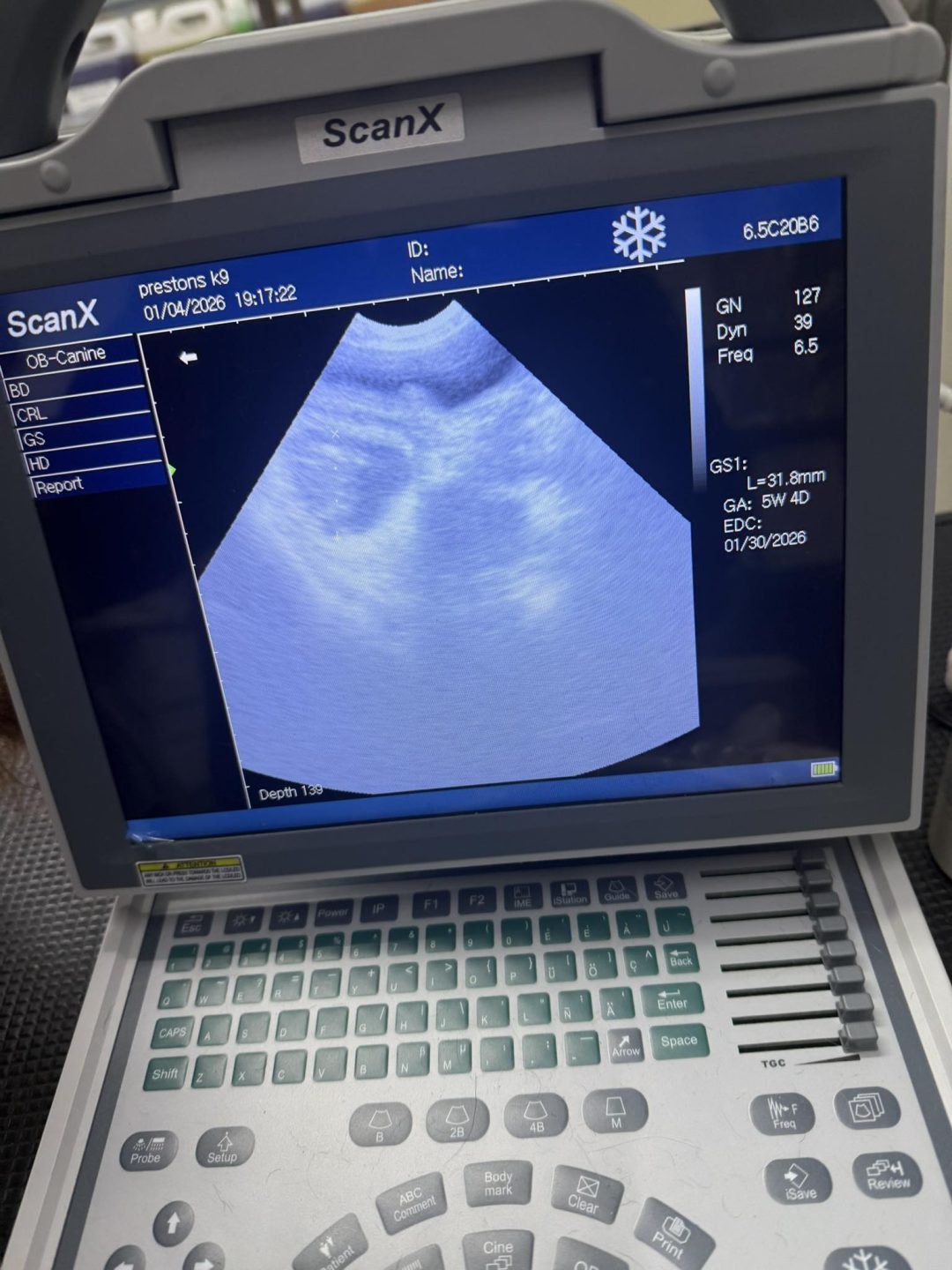 Mobile Pet Ultrasound Blackburn