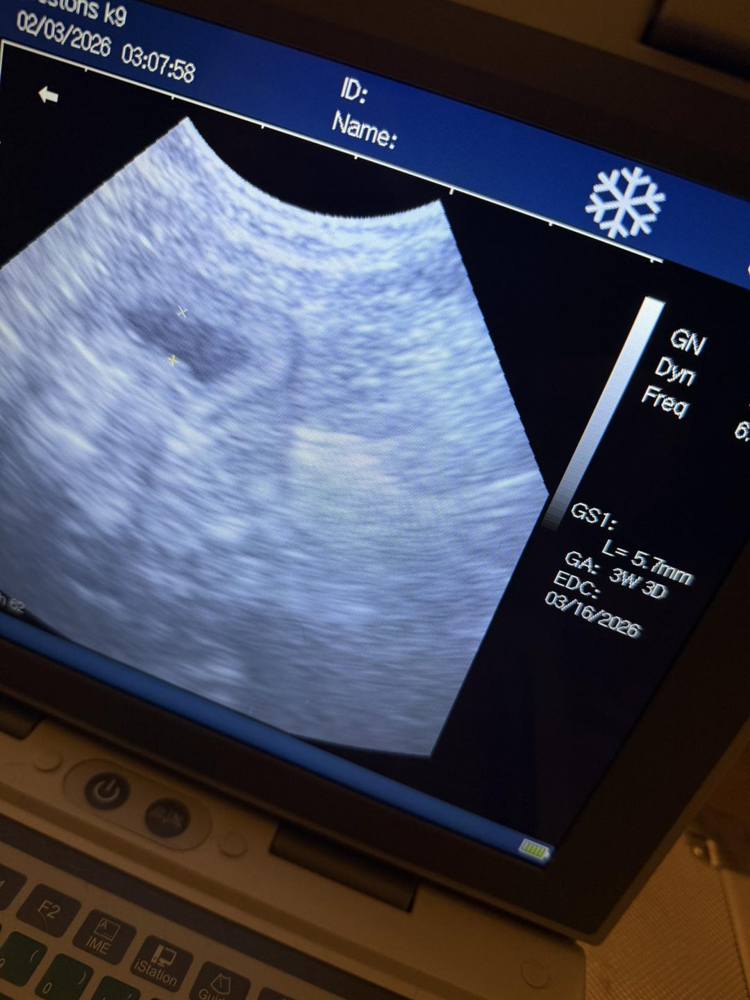 Preston Mobile Dog Fertility