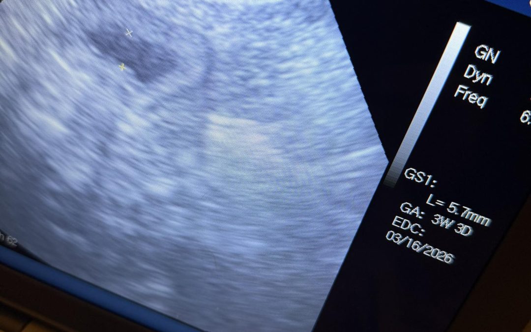 Preston Mobile Dog Fertility