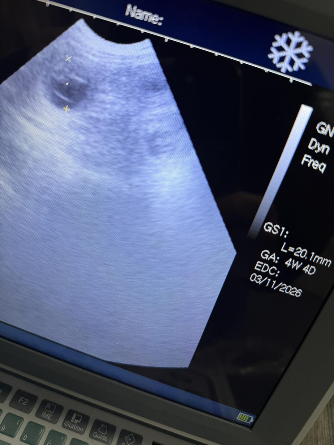 Dog Mating Blackburn