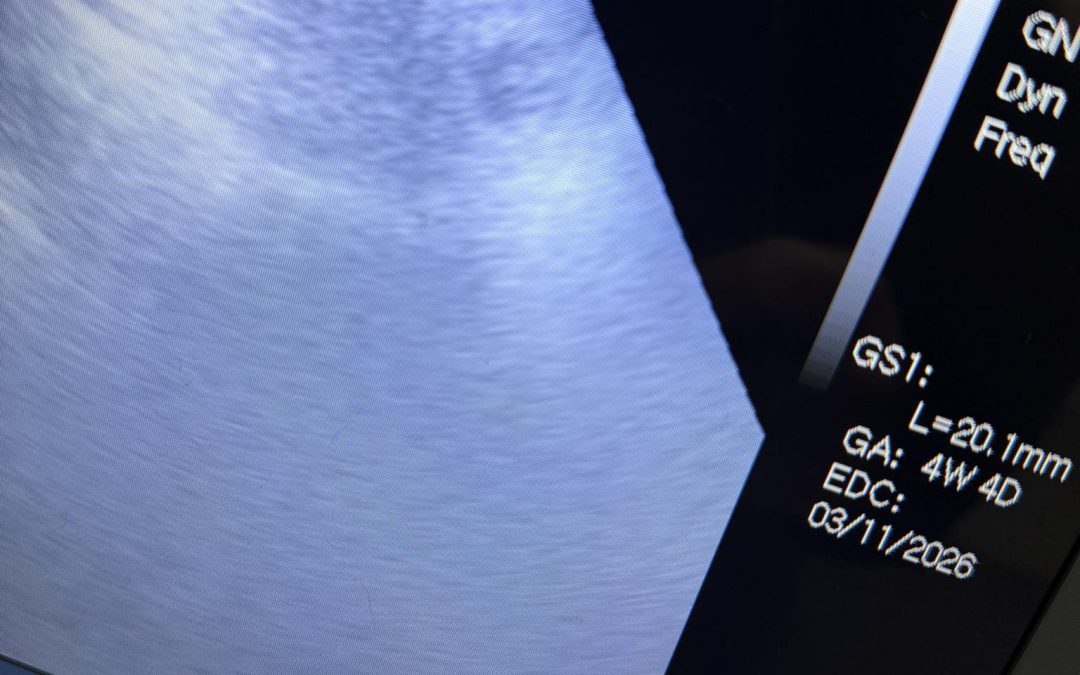 Dog Mating Blackburn