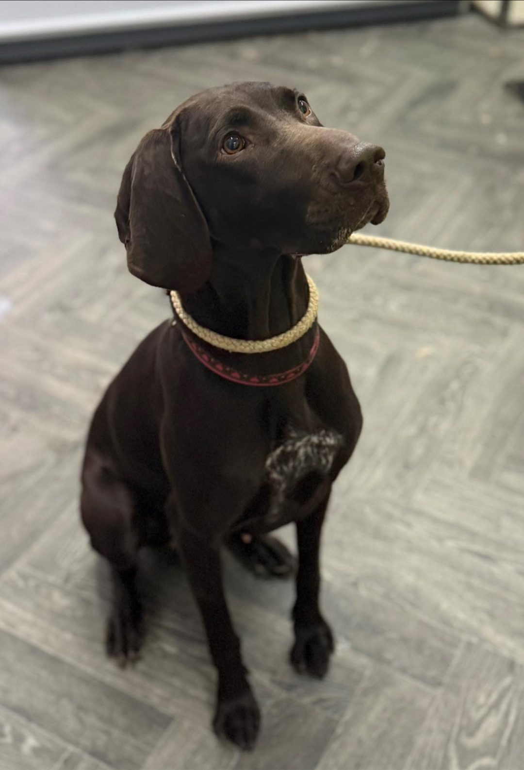 Progesterone Blood Test Morecambe