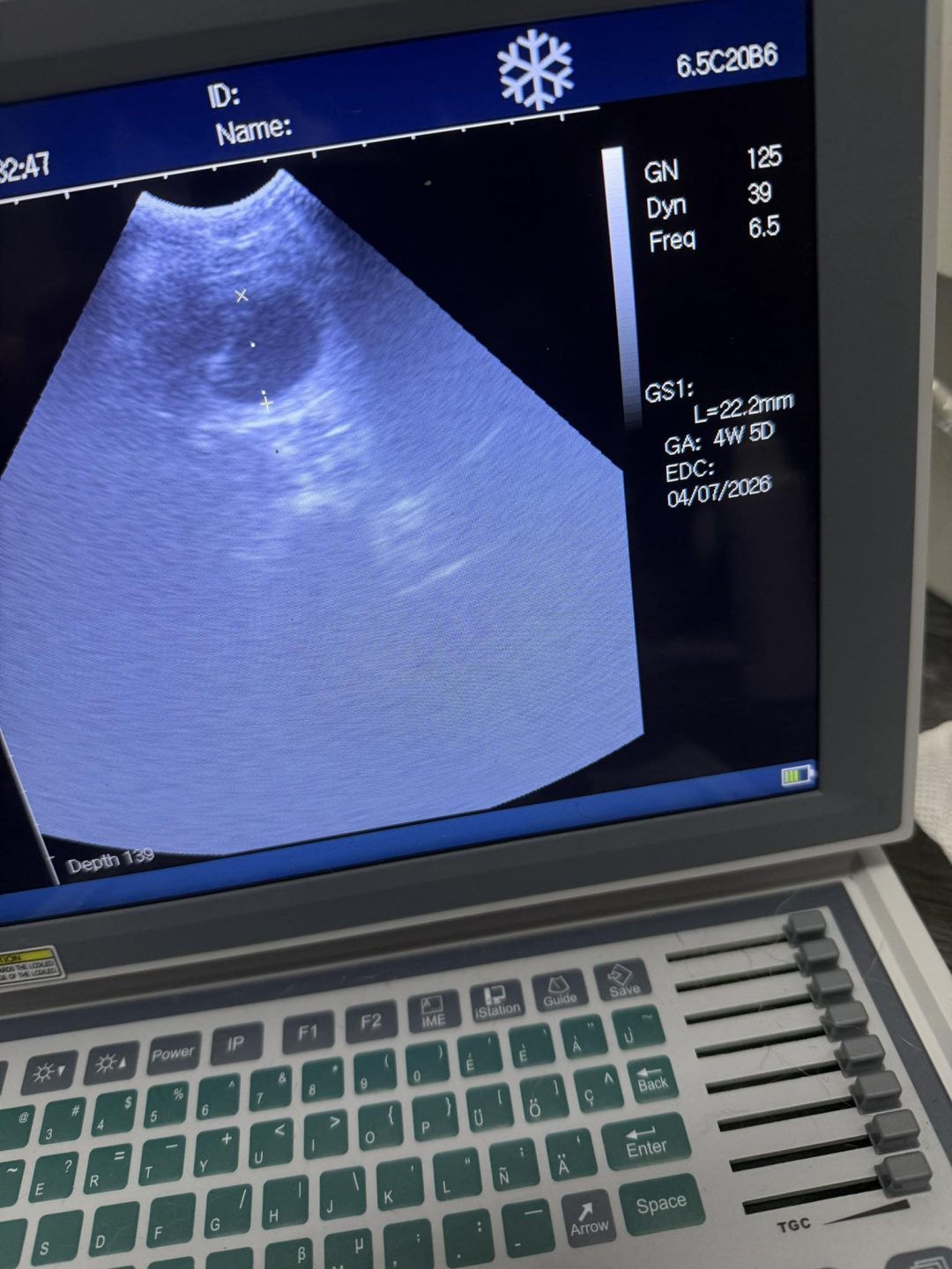 Dog Ultrasound Pilling