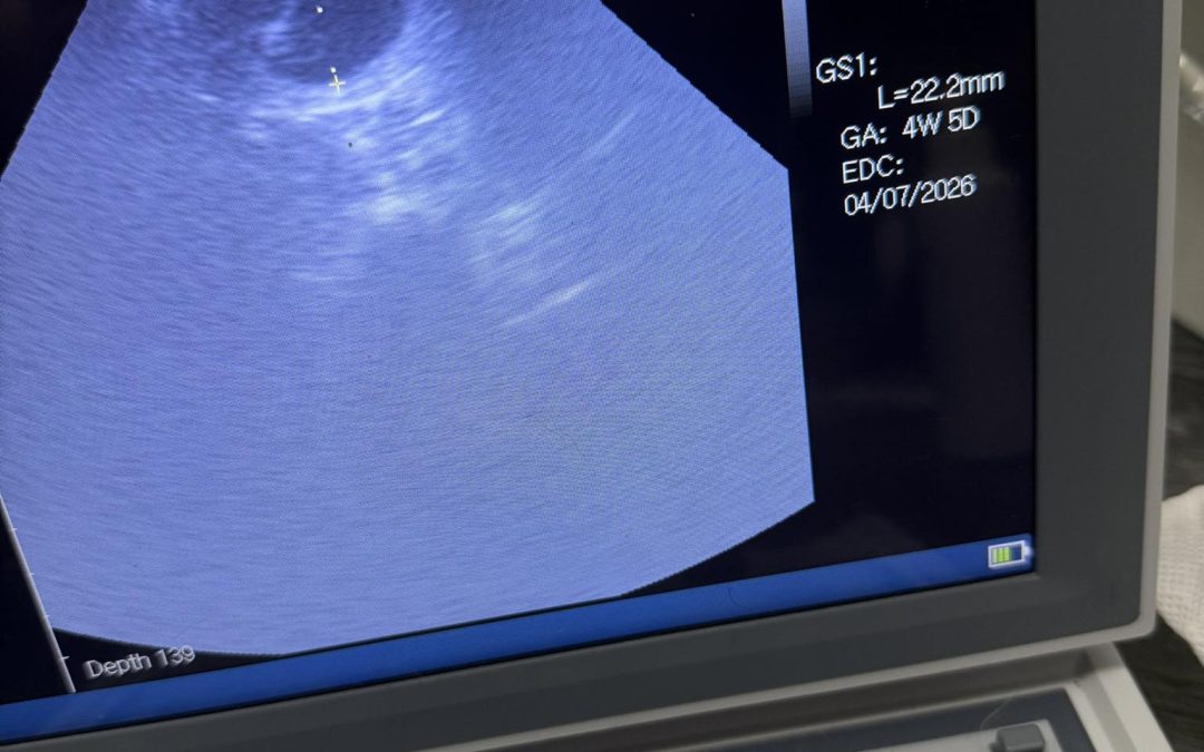 Dog Ultrasound Pilling