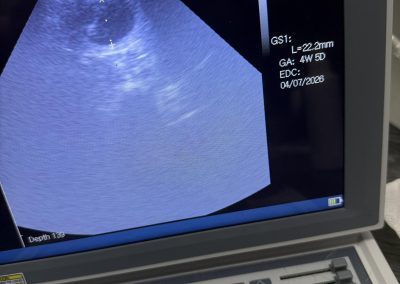 Dog Ultrasound Pilling