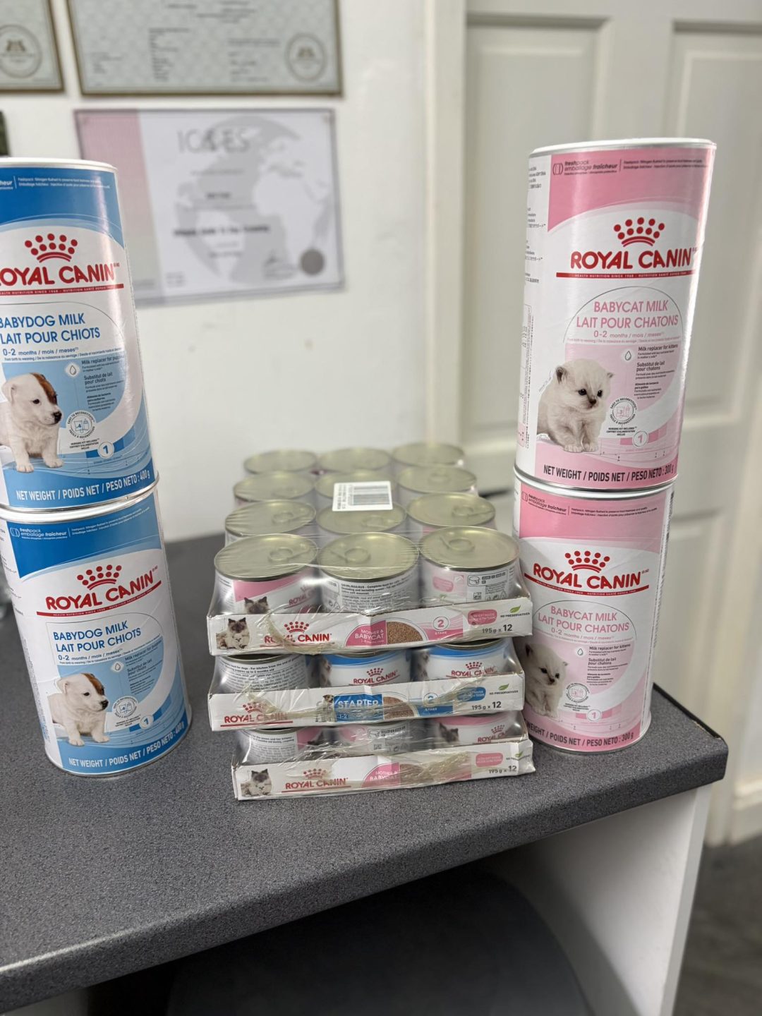 Puppy Milk Morecambe