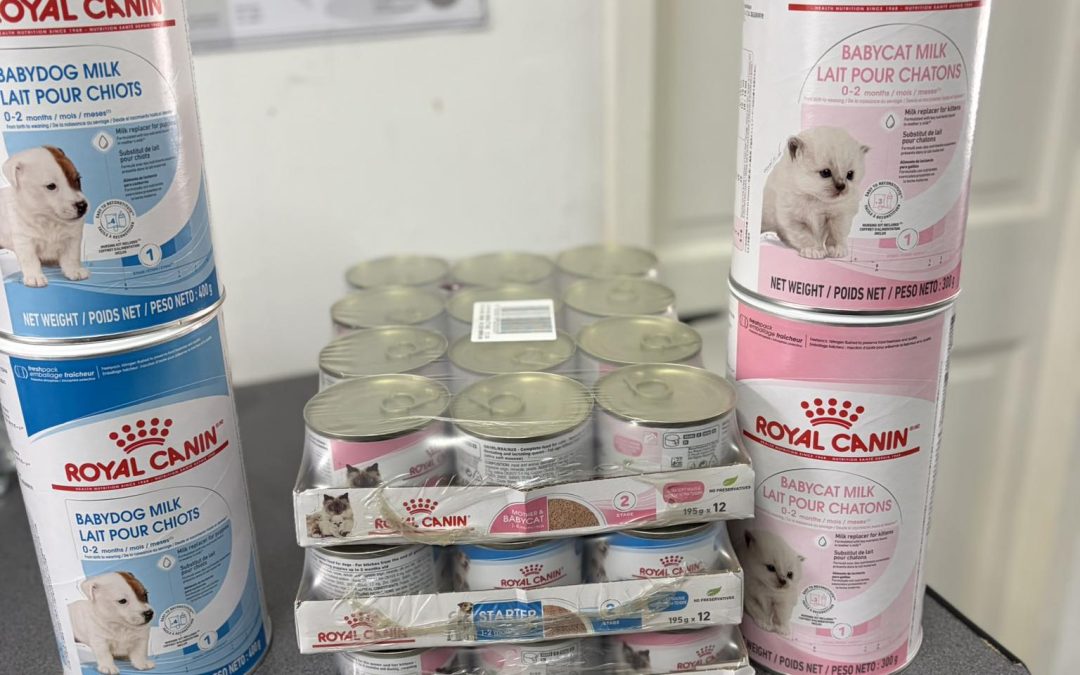 Puppy Milk Morecambe