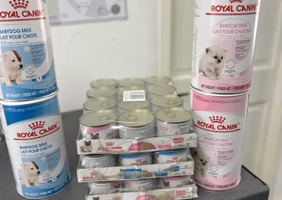 Puppy Milk Morecambe