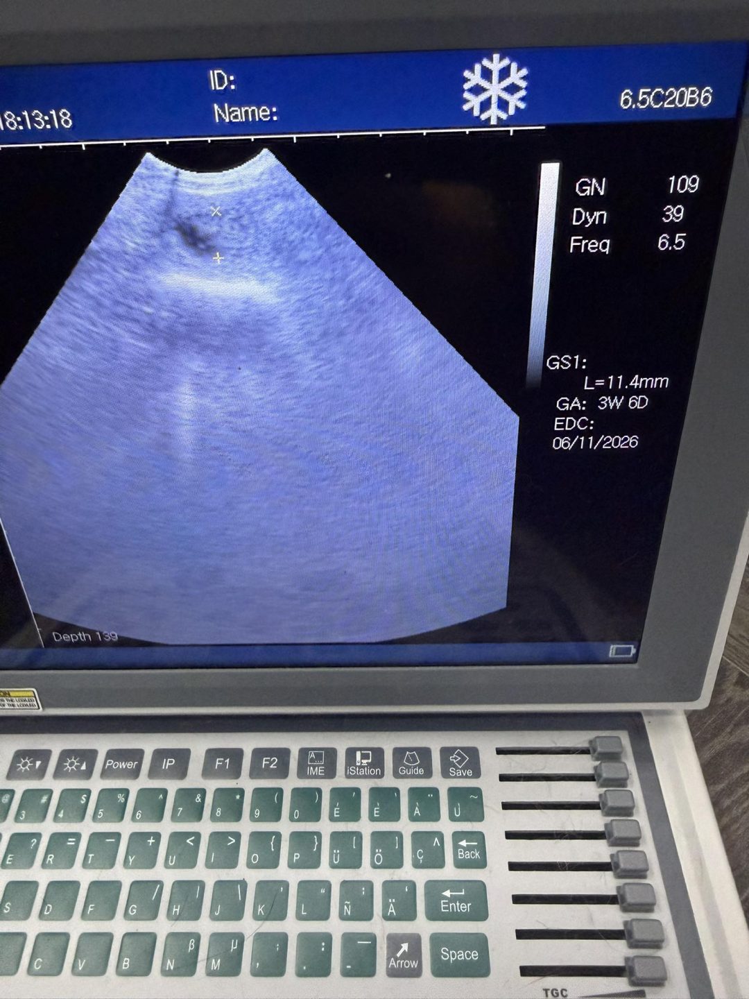 Canine Fertility Clinic Morecambe