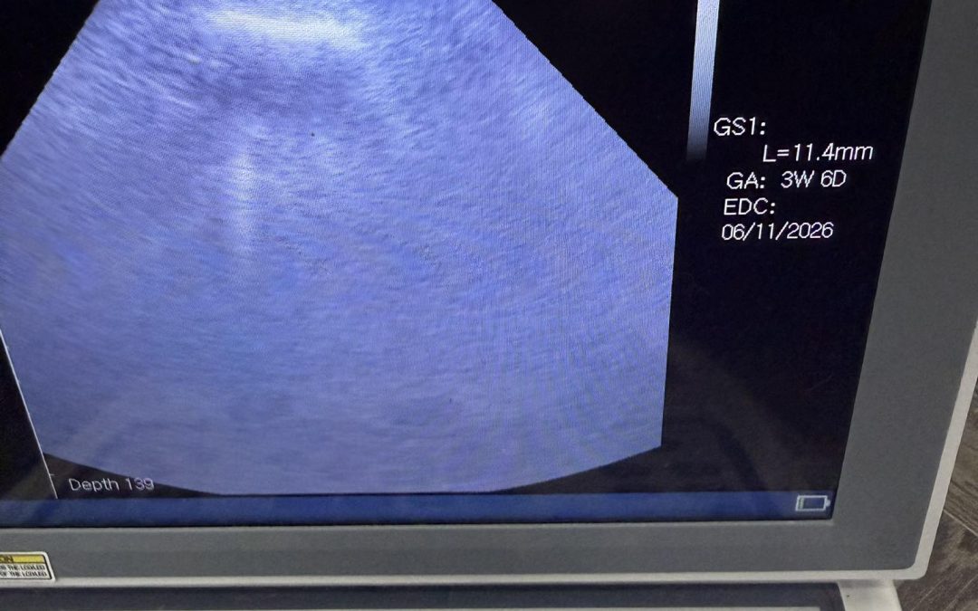 Canine Fertility Clinic Morecambe