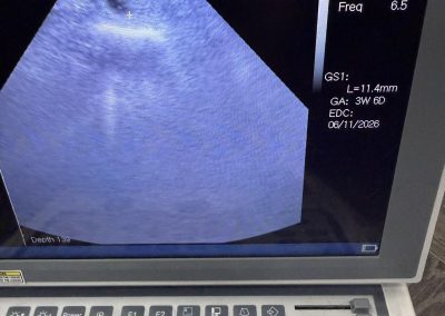 Canine Fertility Clinic Morecambe