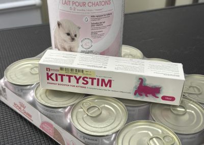 Kitten Milk Preston