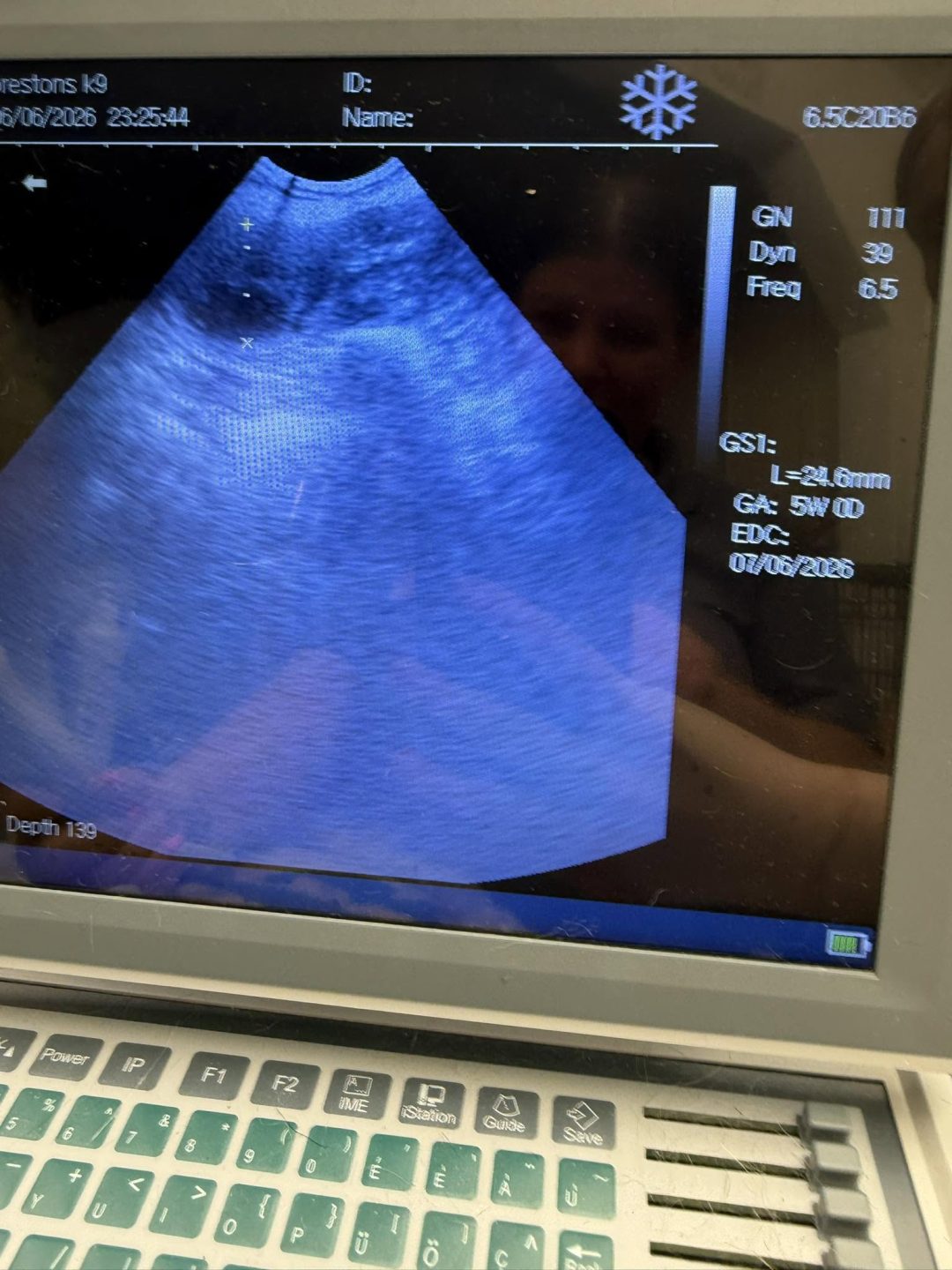 Dog Ultrasound Thornton Cleveleys