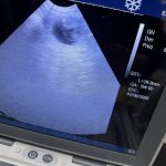 Dog Ultrasound Preston