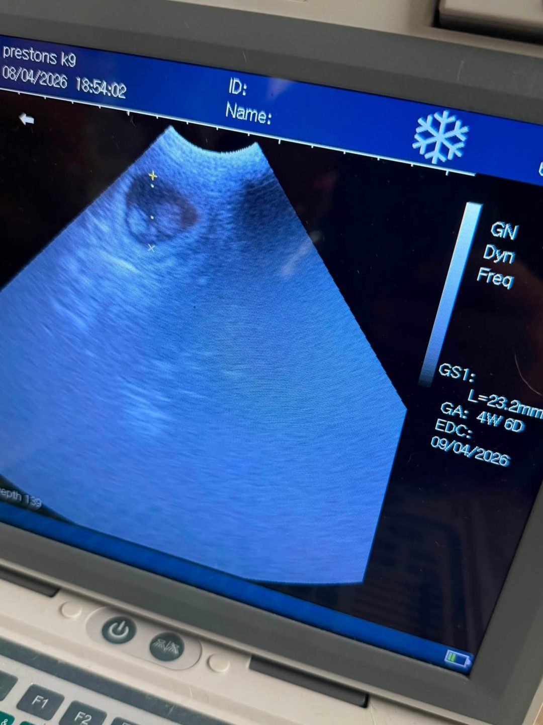 Pet Ultrasound Chorley