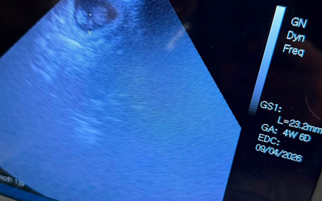 Pet Ultrasound Chorley
