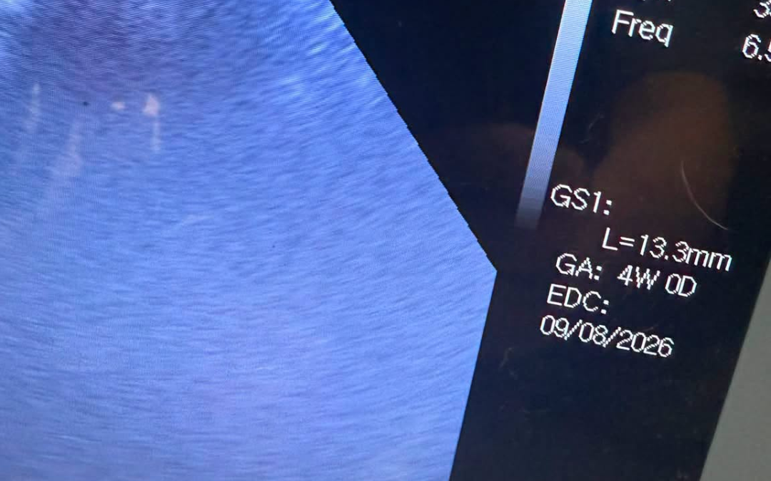 Dog Ultrasound Cockerham