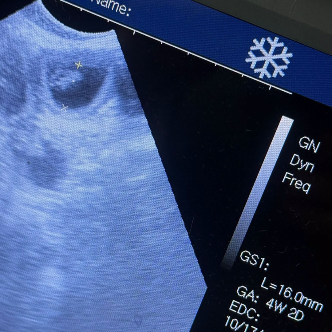 Mobile Dog Ultrasound Darwen