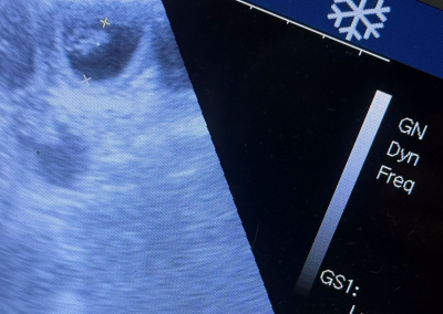 Mobile Dog Ultrasound Darwen