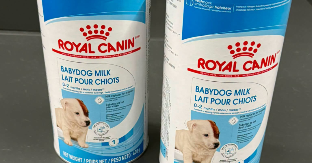 Puppy Milk Garstang