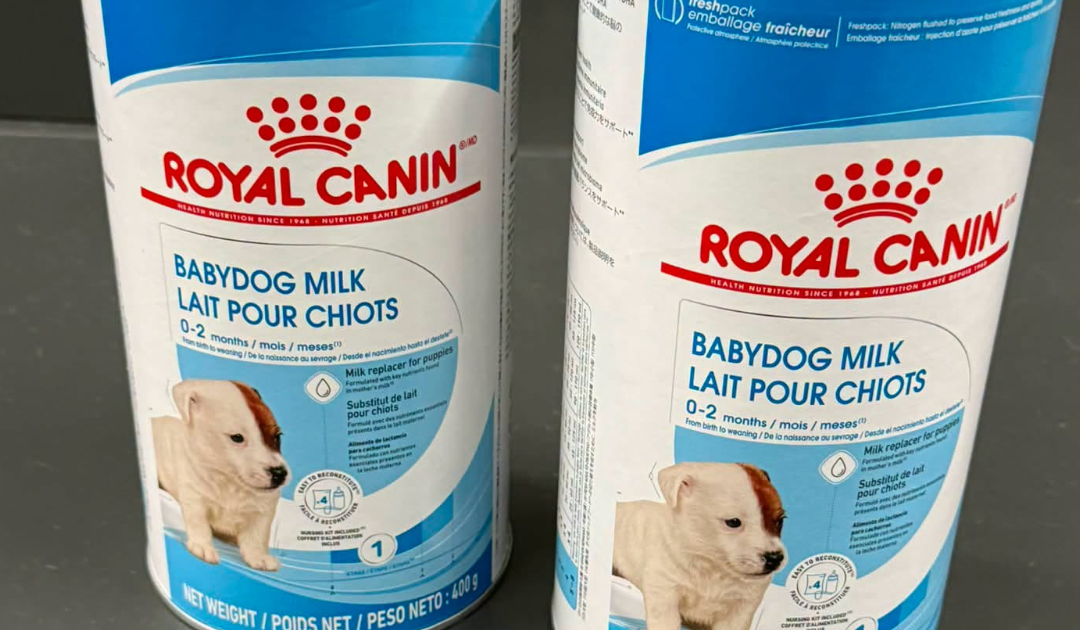 Puppy Milk Garstang