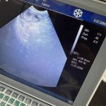 Puppy Scan Service Preston